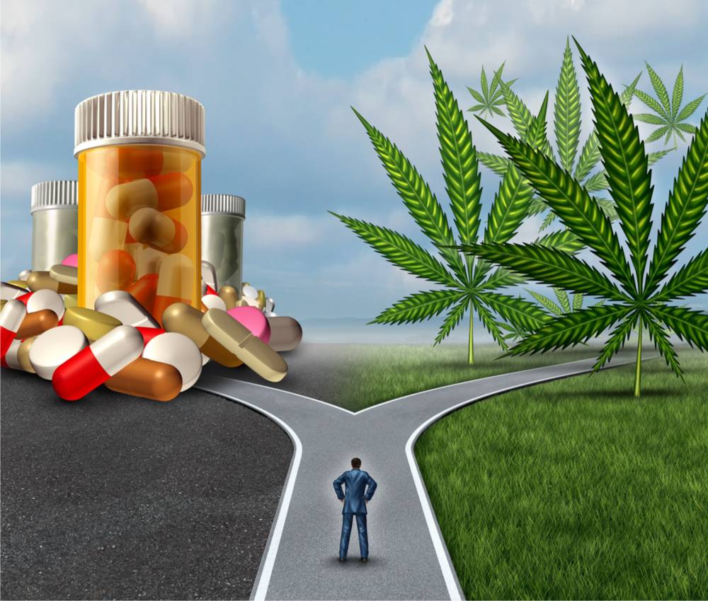 medical cannabis 3