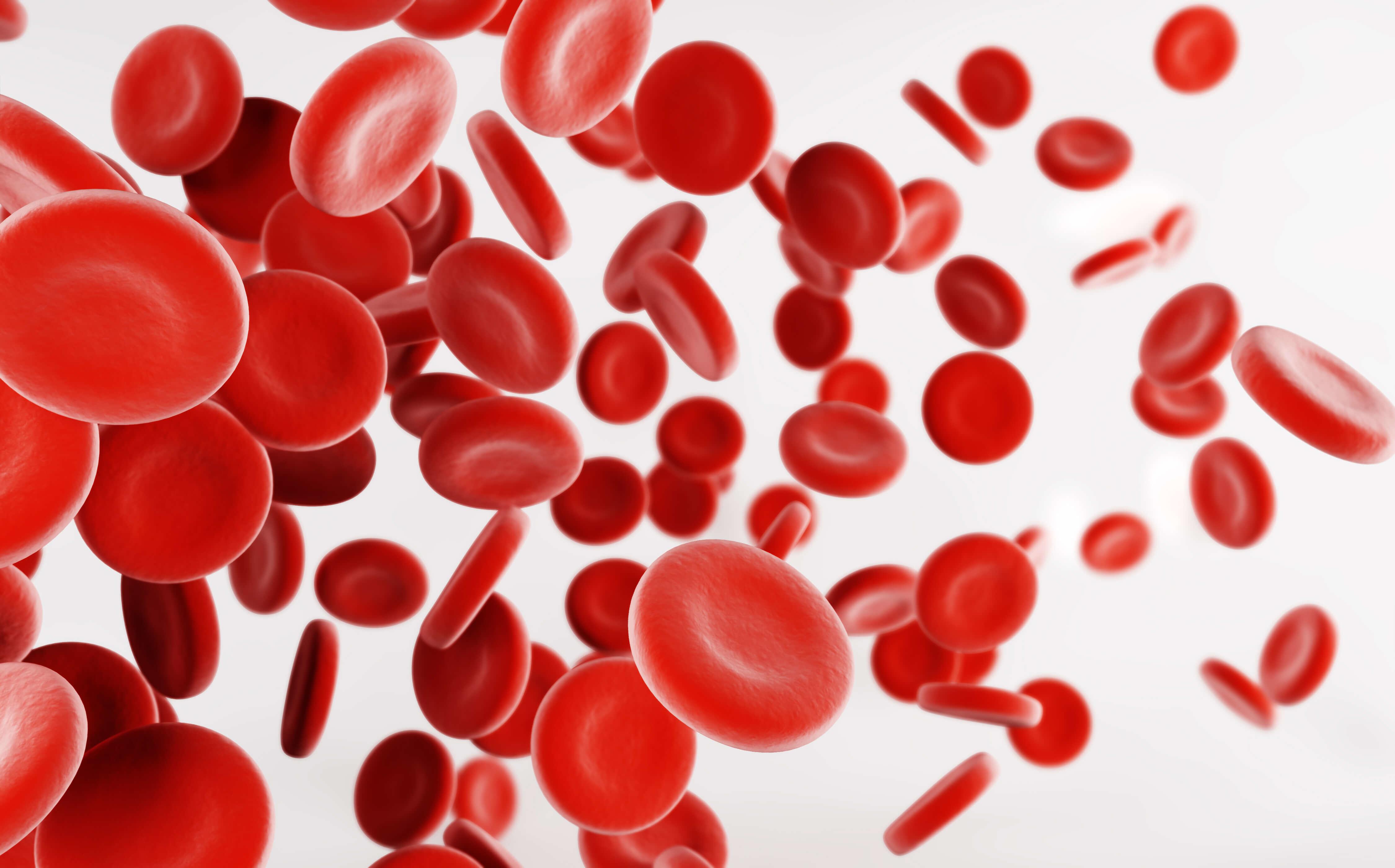 Hemolytic Anemia from Footstrikes blood cells featured