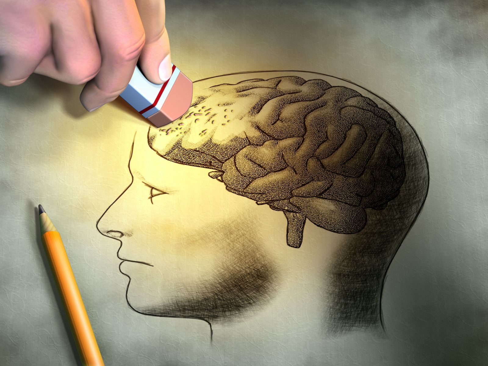 bigstock brain memory alzheimers dementia