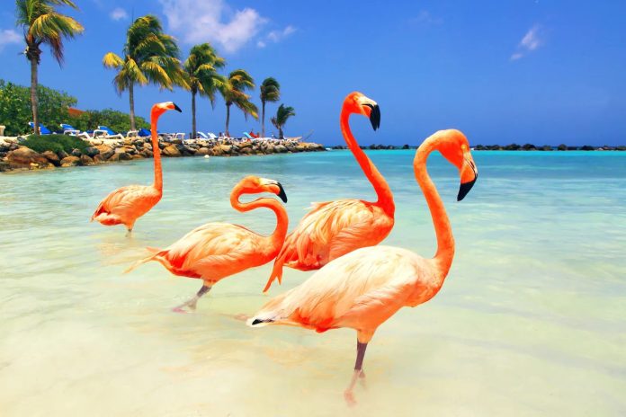 couples-vacations-1