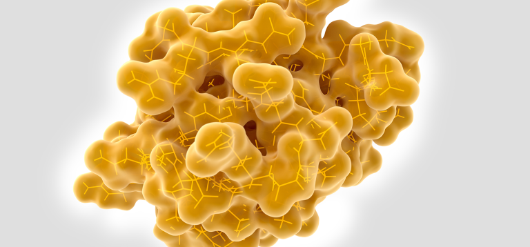 Μια χρήσιμη πρωτεΐνη