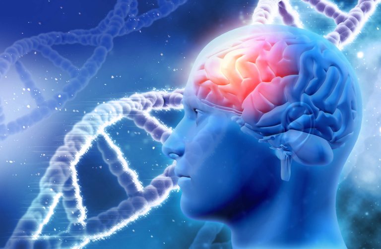 Η ευφυΐα είναι κληρονομική