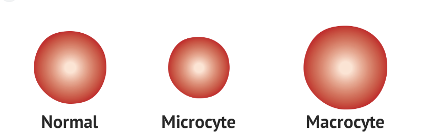 Αυτή η εικόνα δεν έχει ιδιότητα alt. Το όνομα του αρχείου είναι 11.png