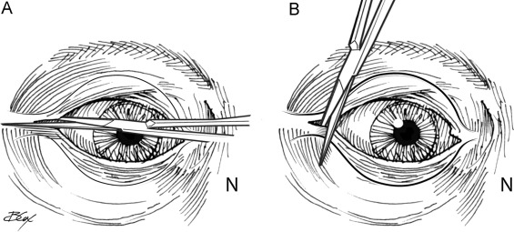 Αυτή η εικόνα δεν έχει ιδιότητα alt. Το όνομα του αρχείου είναι 3-32.jpg