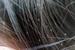 Αυτή η εικόνα δεν έχει ιδιότητα alt. Το όνομα του αρχείου είναι 5-4.jpg