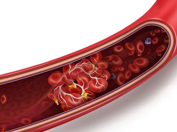 blood-circulatory-2