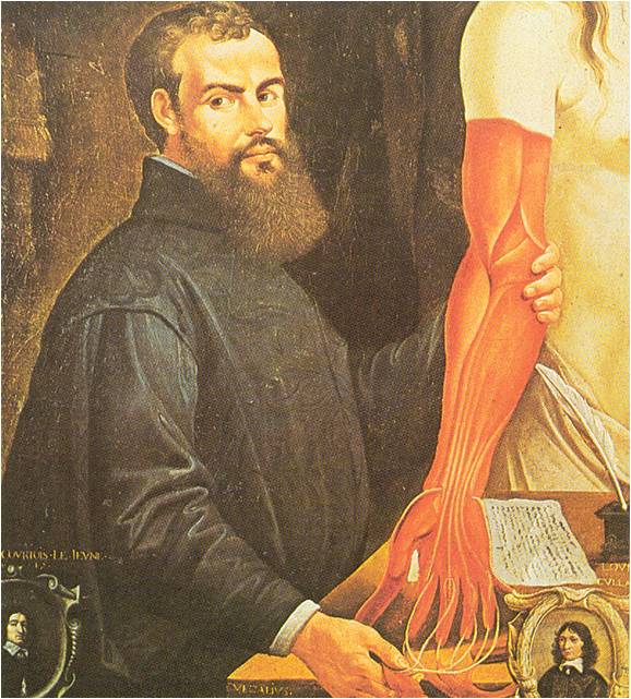 Andreas Vesalius (1514-1564)