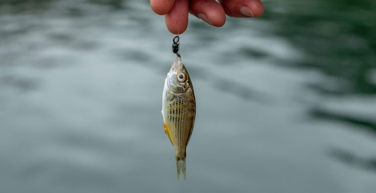 Το ψάρεμα θεραπεύει την ψυχή