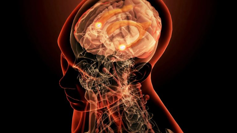 Η νέα θεραπεία για τις φοβίες