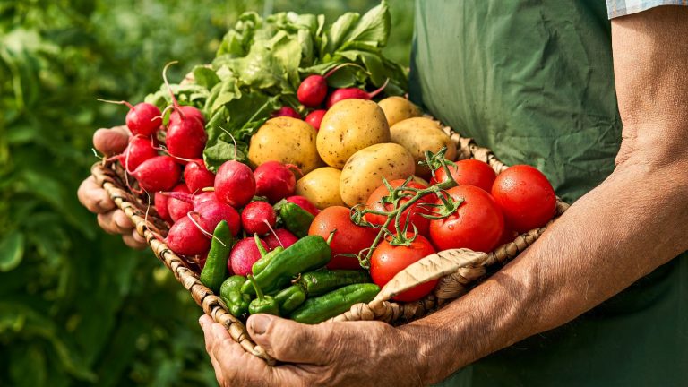 Λαχανικά ανάλογα με τις ανάγκες σας