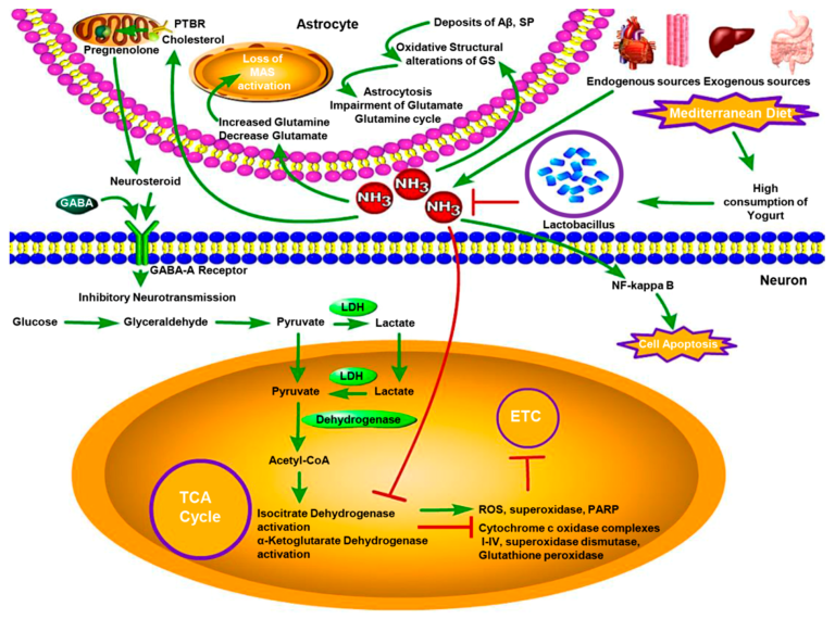 Αμμωνία ορού