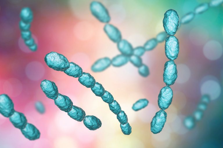 Μαλακό έλκος