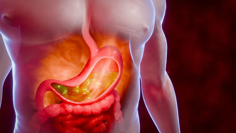 Οι βιταμίνες για τον πεπτικό σωλήνα