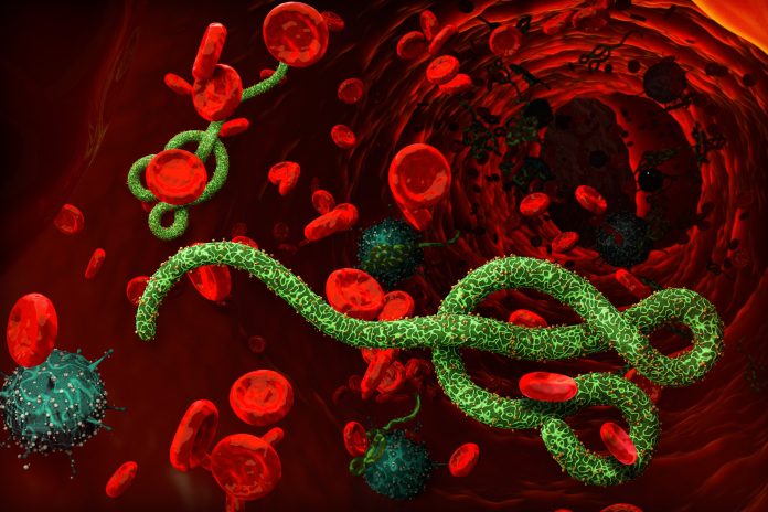 ebola-virus-2