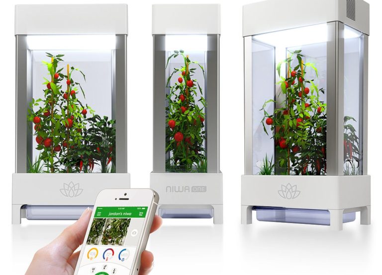 Θερμοκήπιο σπιτιού