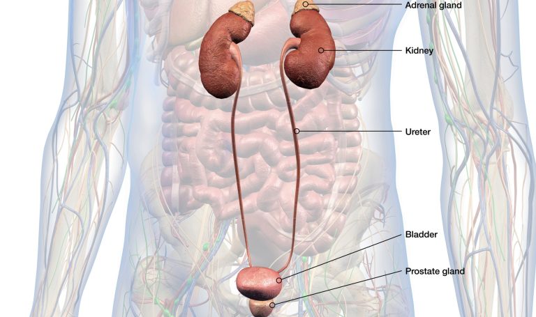 Φαιοχρωμοκύττωμα