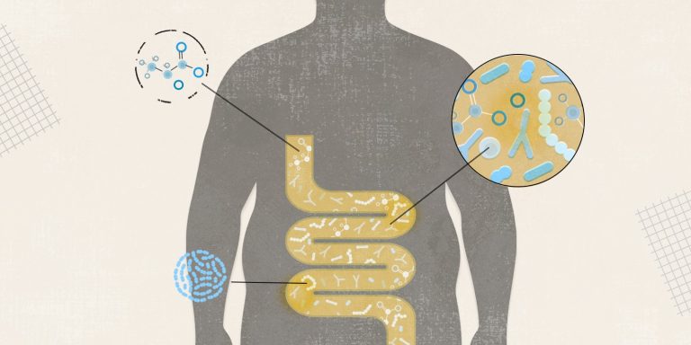 Απώλεια βάρους με το μικροβίωμα του εντέρου