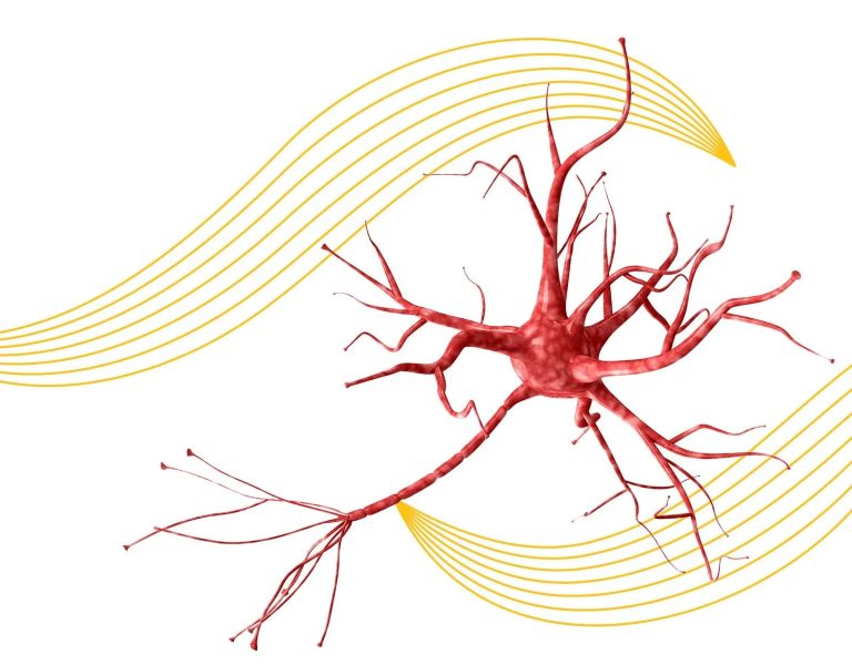 Υγεία του νευρικού συστήματος