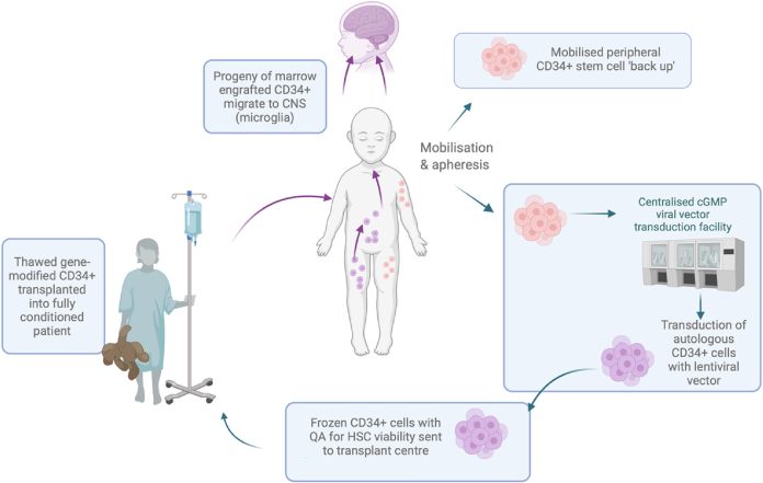 Tripeptidyl-Peptidase II-ene-therapy-1