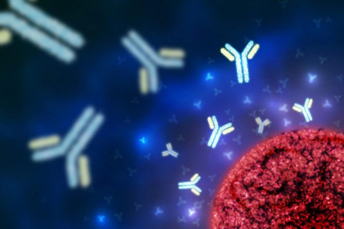 monoclonal-antibodies-2