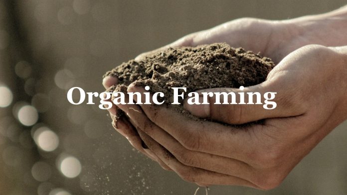 organic-3