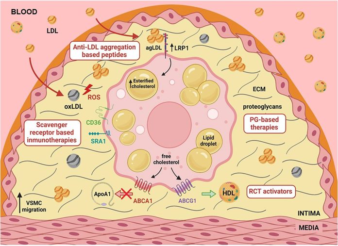 peptides-4