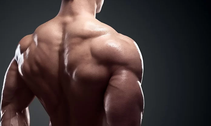 vitamins-muscles-2