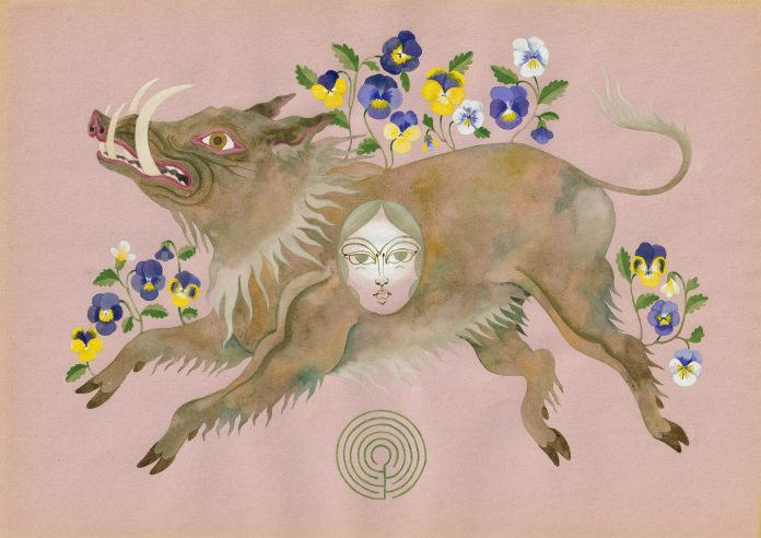 animals-3