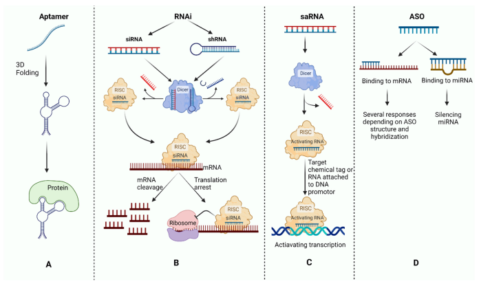 antisense-1