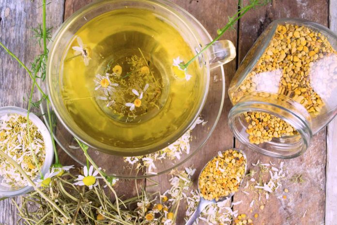 chamomile-oil-2
