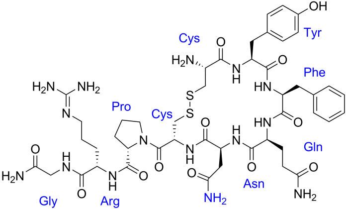 Vasopressin-1