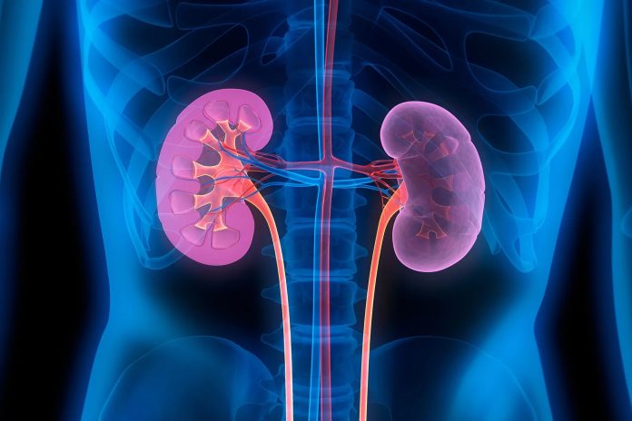 nephropathy-2