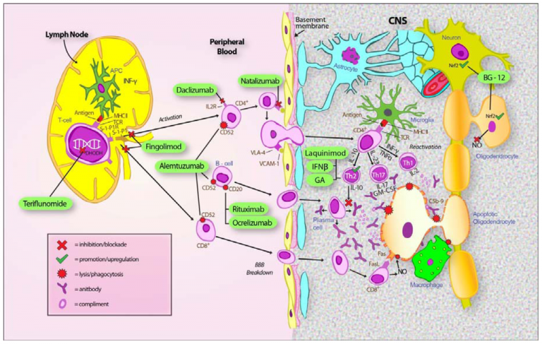 Alemtuzumab για τη σκλήρυνση κατά πλάκας