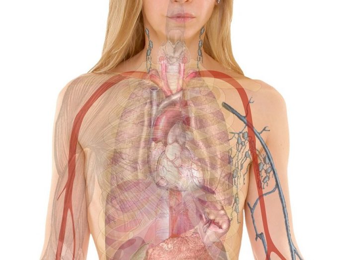 images_photos_42_1_thymus-function-2