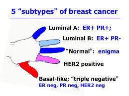 Τα καρκινικά μονοπάτια στόχευσης σε τριπλά αρνητικό καρκίνο μαστού