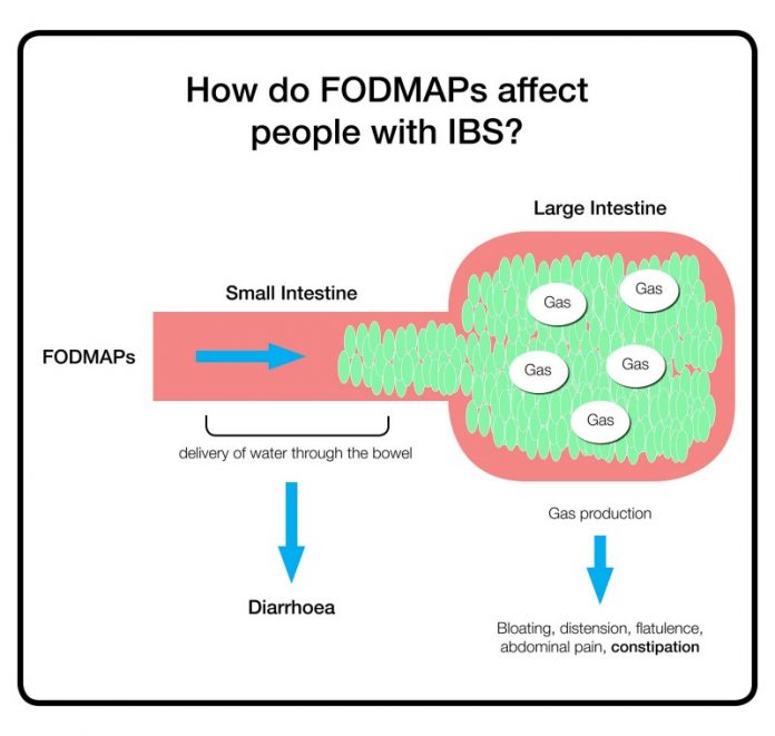 fodmap 4