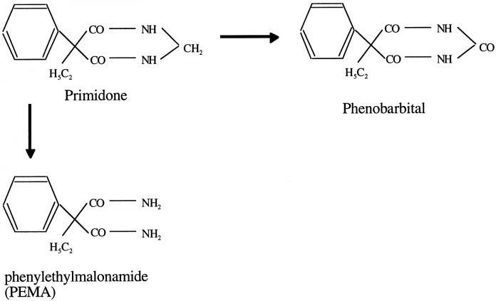 primidone 4