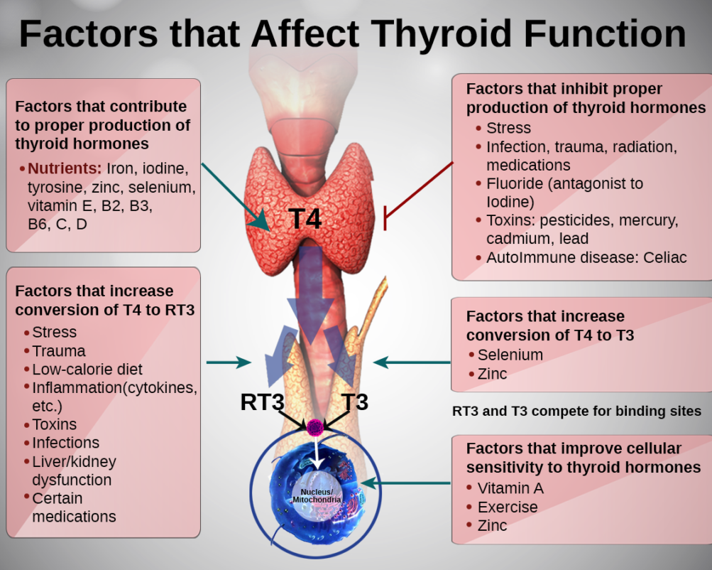 thyroiditis 5