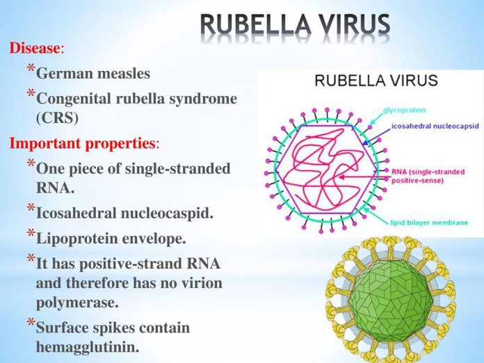rubella 3