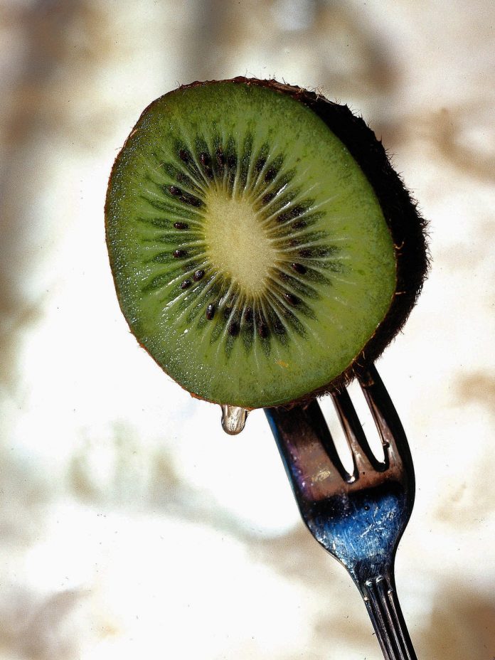 actinidia 1