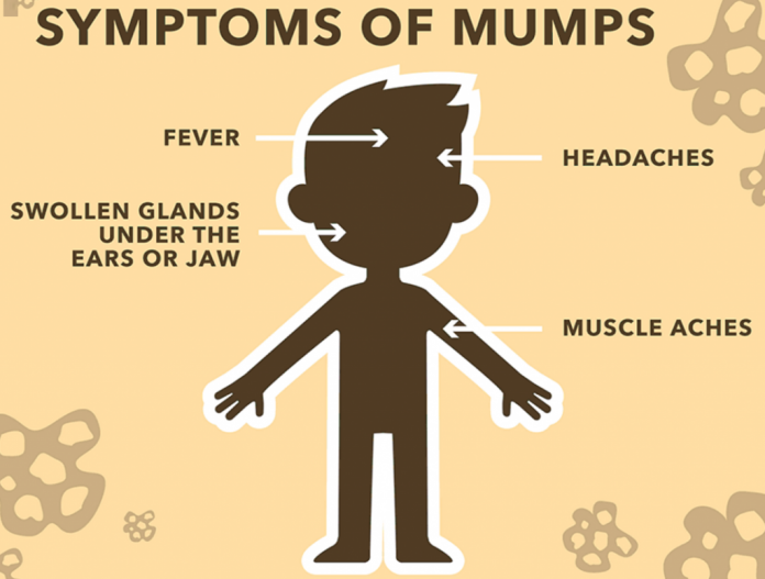 mumps 1024x775