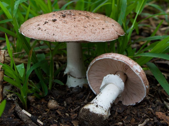 5739873412 67cd5c875f b