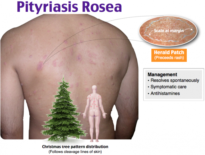 e0348501b87483c8a3beb6de408dd799