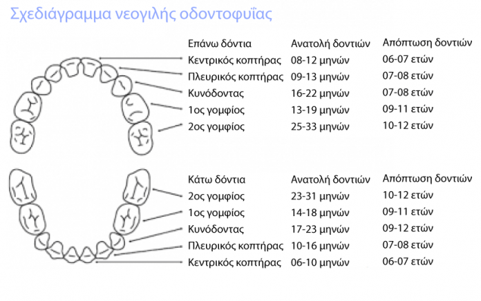 BabyTeethChart Greece