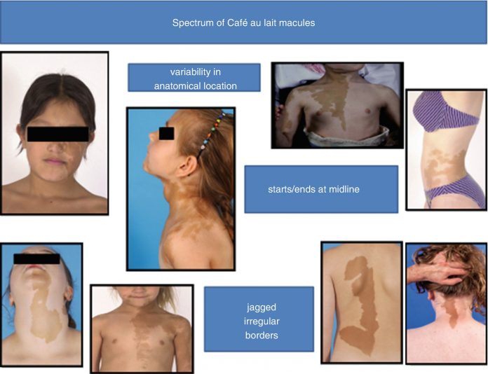 340511 1 En 11 Fig4 HTML