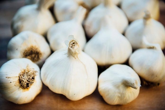 Αυτή η εικόνα δεν έχει ιδιότητα alt. Το όνομα του αρχείου είναι 21.jpeg