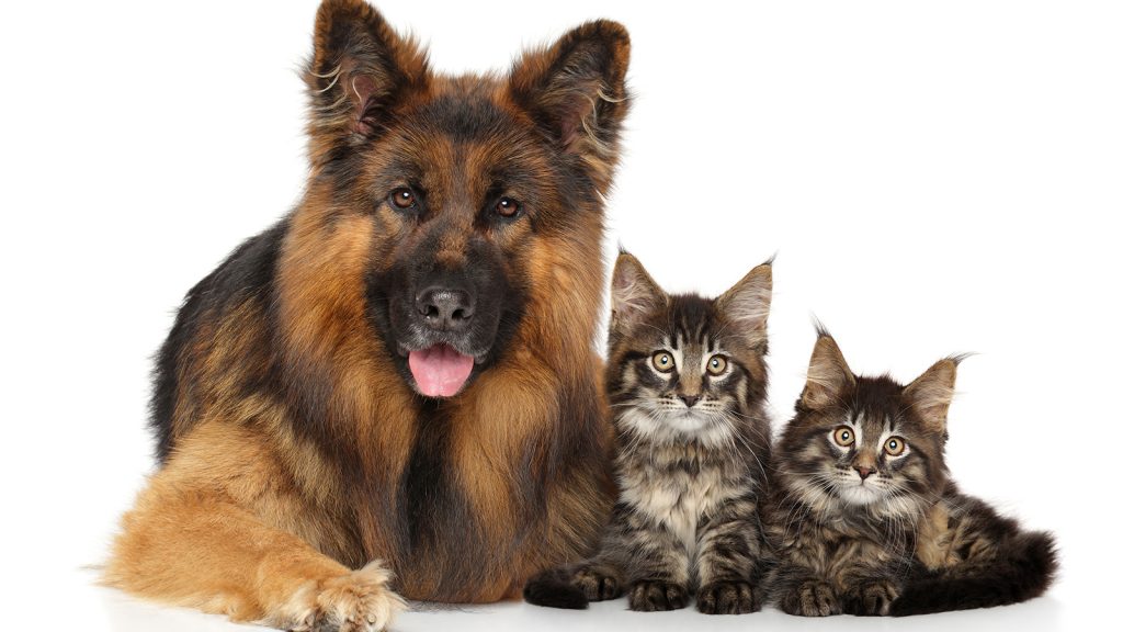 Αυτή η εικόνα δεν έχει ιδιότητα alt. Το όνομα του αρχείου είναι 9-1024x576.jpg