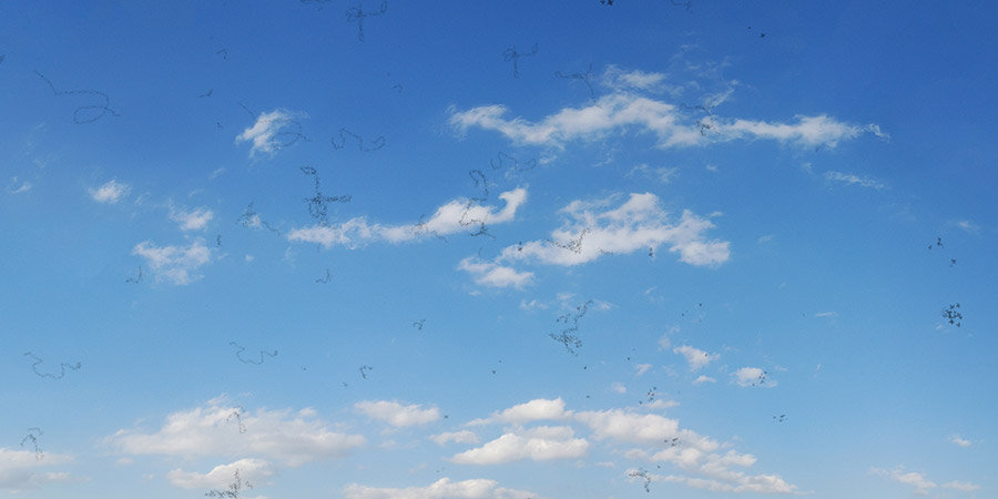 Αυτή η εικόνα δεν έχει ιδιότητα alt. Το όνομα του αρχείου είναι 1.jpg