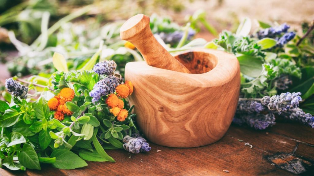 Αυτή η εικόνα δεν έχει ιδιότητα alt. Το όνομα του αρχείου είναι 7-2-1024x576.jpg