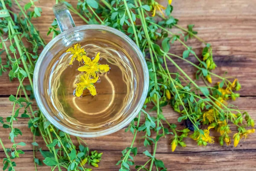 Αυτή η εικόνα δεν έχει ιδιότητα alt. Το όνομα του αρχείου είναι 10-1-1024x683.jpg